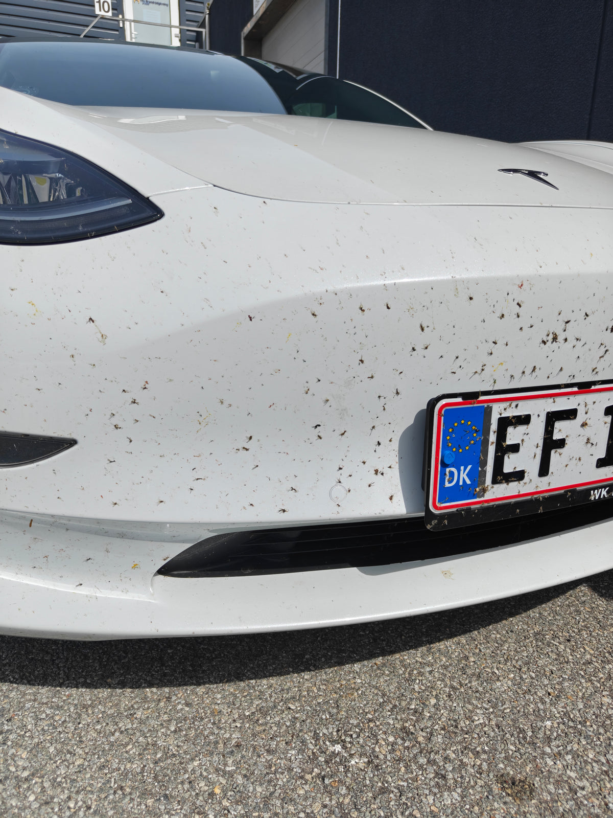 PH UNIVERSAL SKUMRENS - Bil med insekter